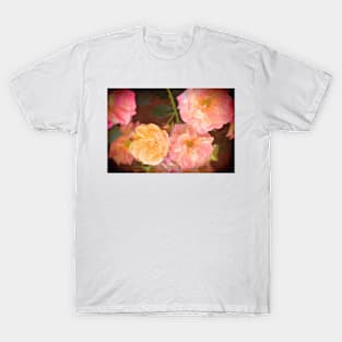 Rose 328 T-Shirt